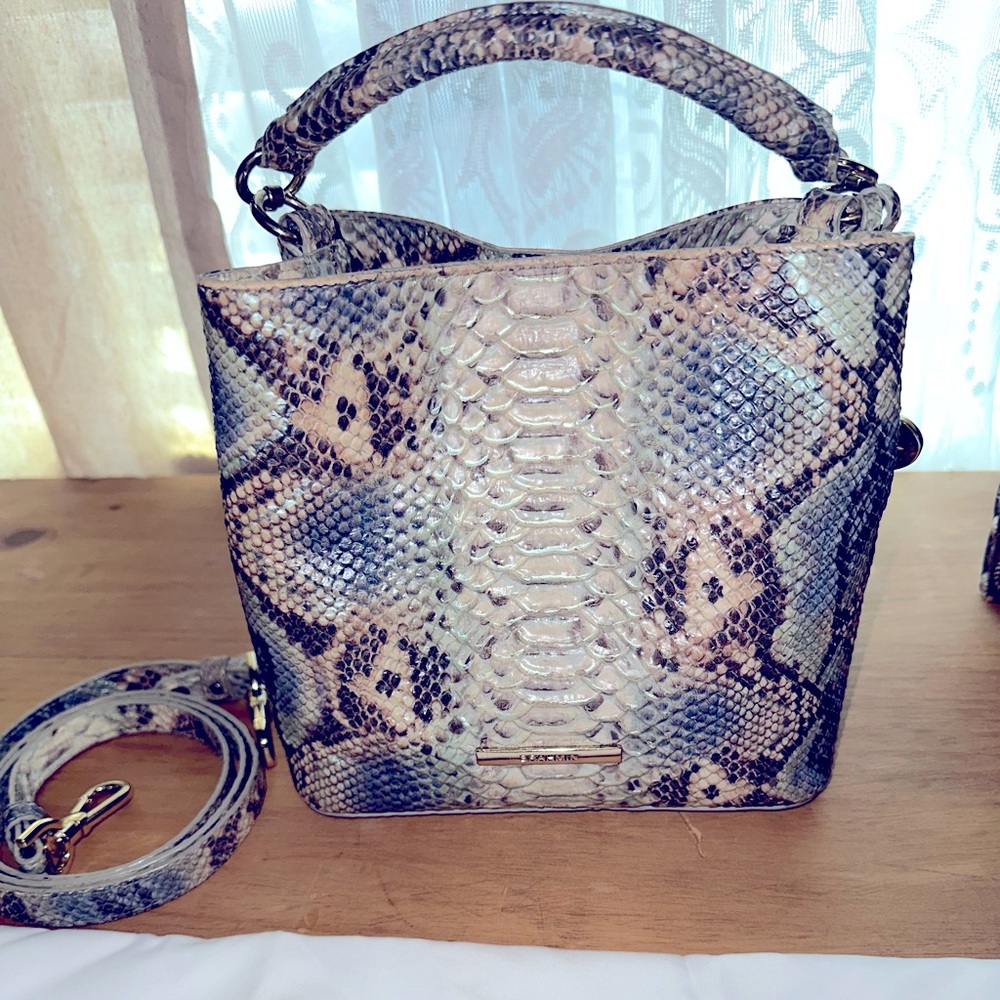 Brahmin mini Amelia